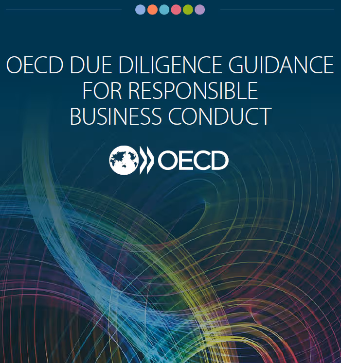 Due Diligence National Contact Point OECD Guidelines due-diligence-national-contact-point-oecd-guidelines